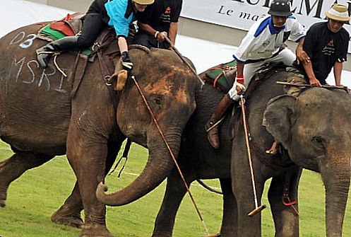 �������� ���� � ������ ������