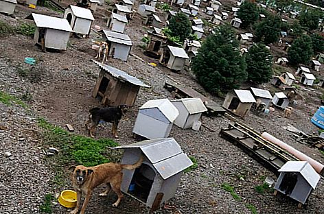 ������� ��� �����