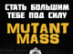 Гейнер Mutant MASS(6800 гр)MUTANT